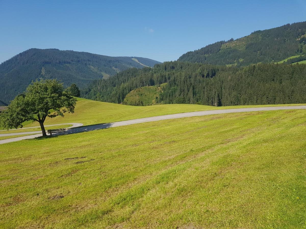 Appartement Muehlebnerhof Рамзау ам Дахщайн Екстериор снимка